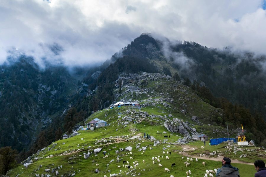 Chandigarh Shimla Manali Dharamshala Dalhousie Khajjiar Tour Package